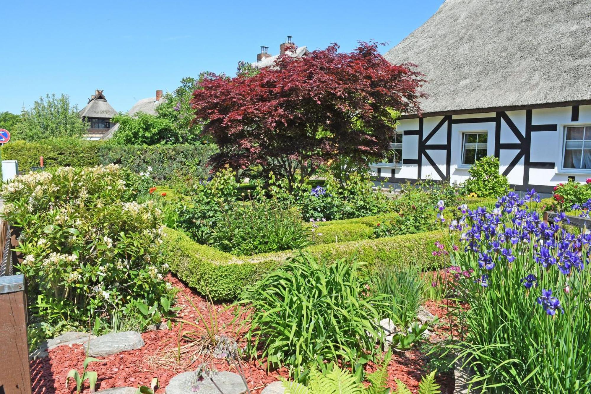 Ferienhaus Am Sund Altefahr Luaran gambar